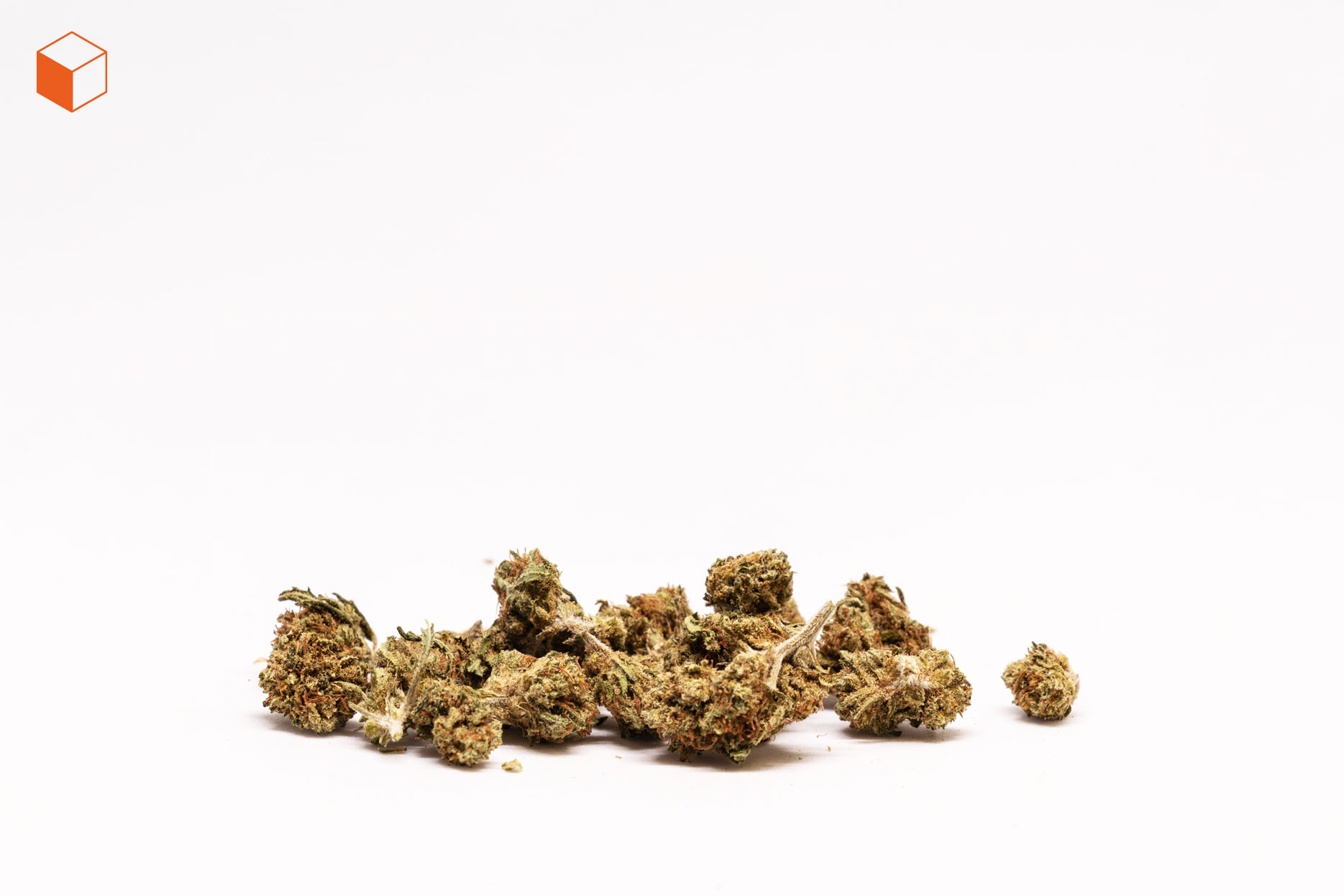 minifruit-flores-cbd