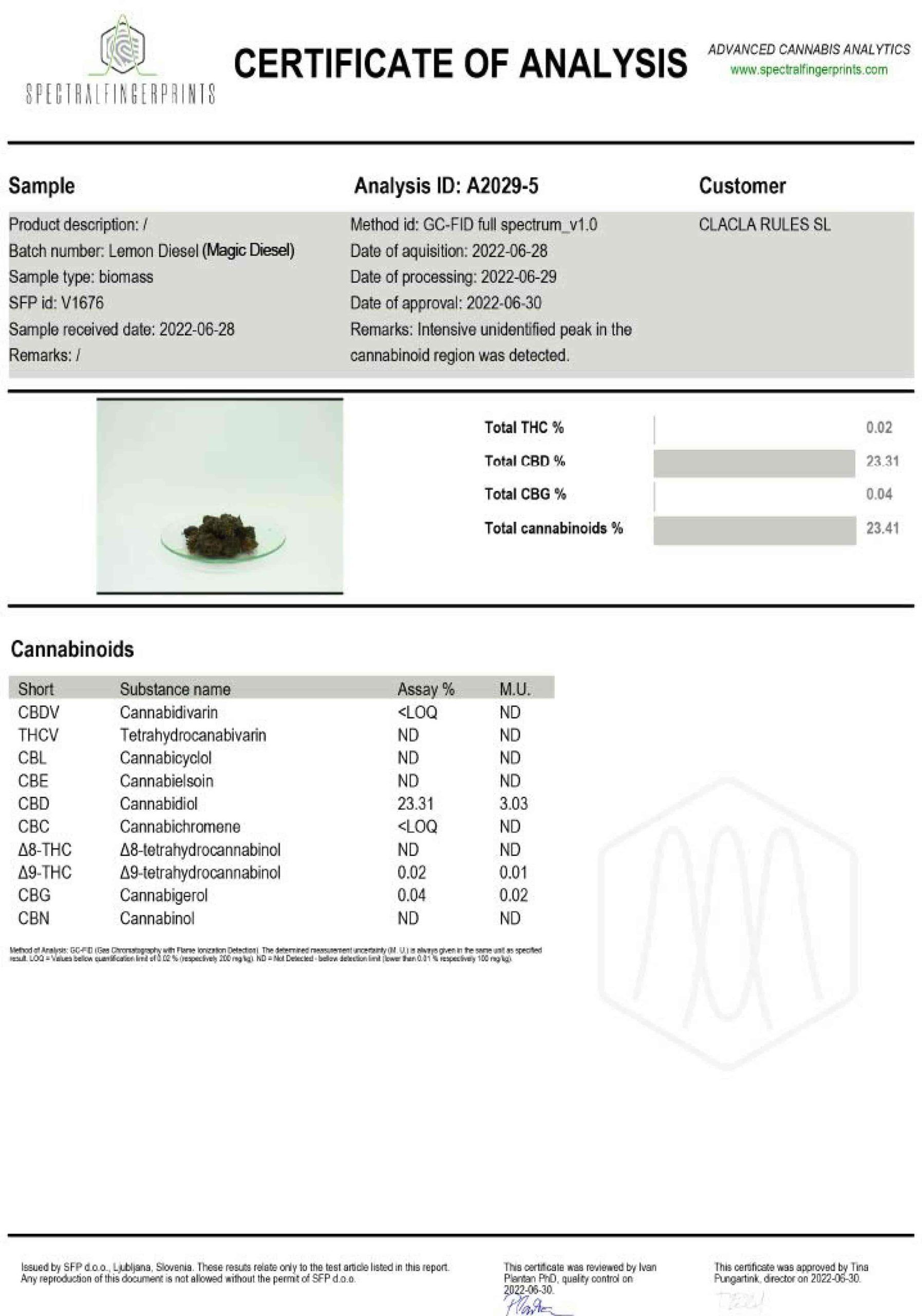 Magic Diesel - Imagen 4
