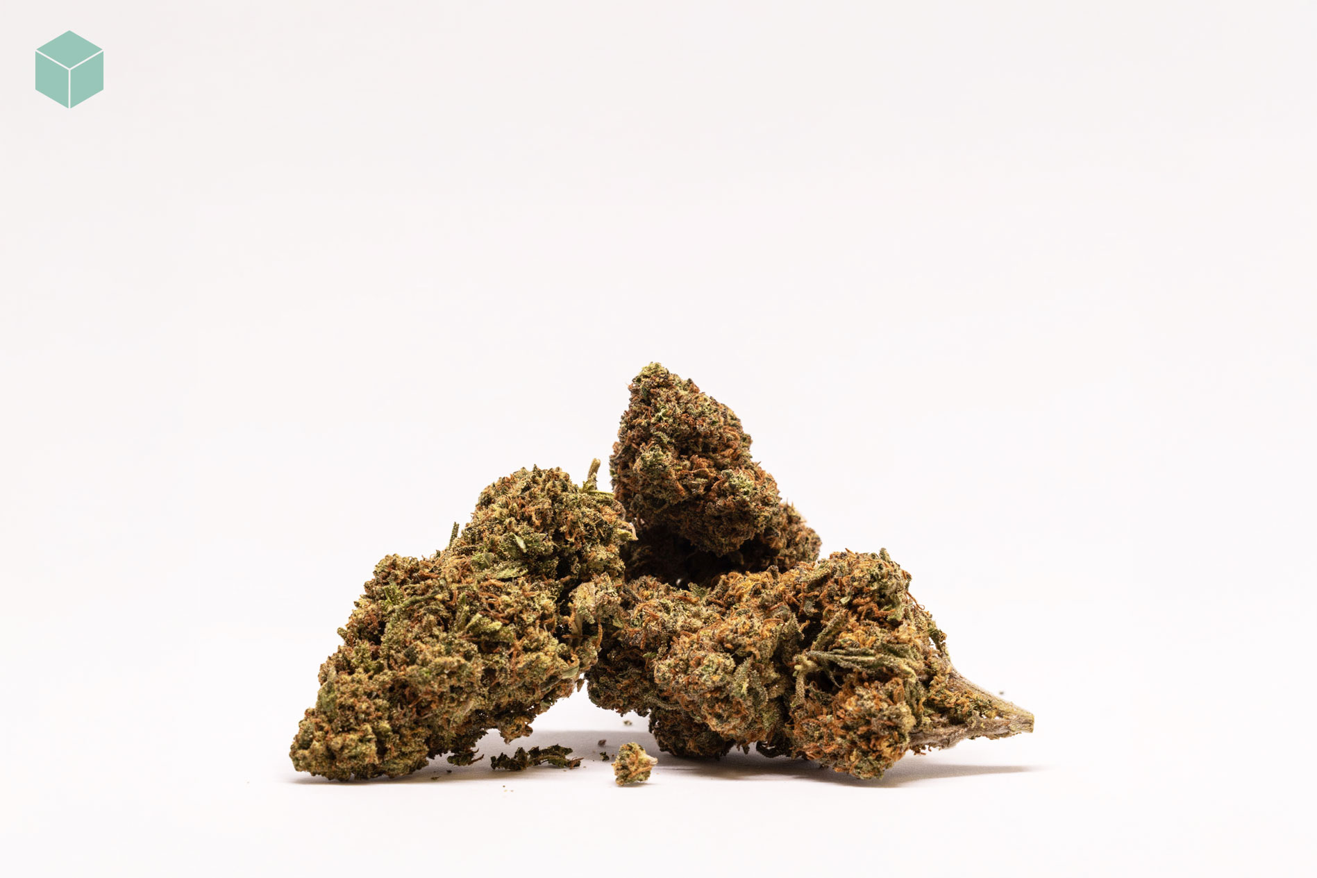 dulcinea-flor-cbd