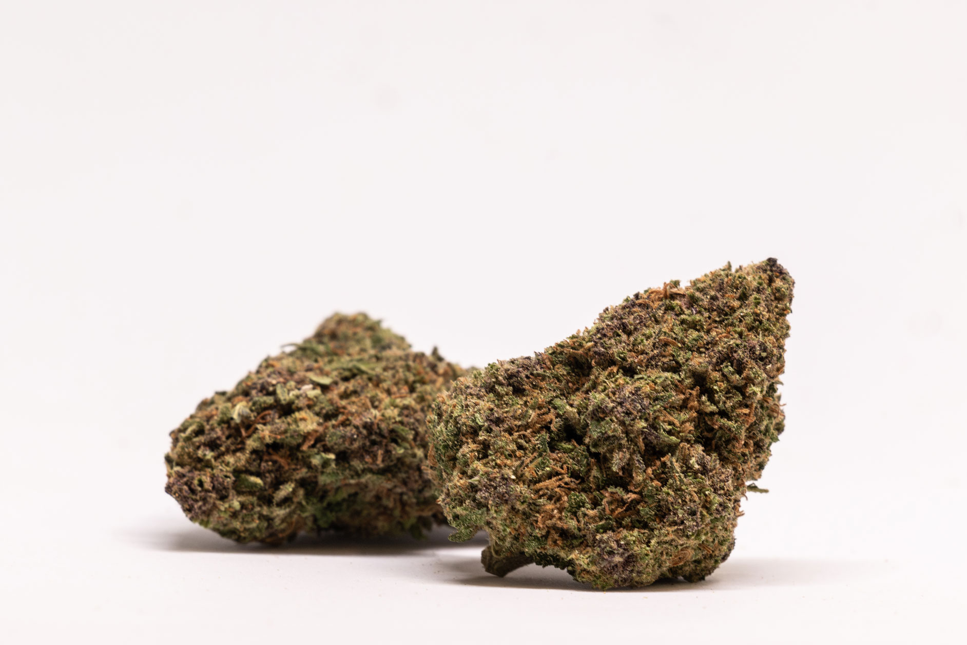 Magic Diesel - Imagen 2