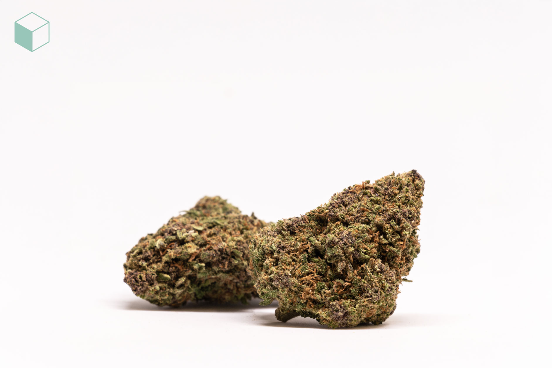 magicdiesel-flor-cbd