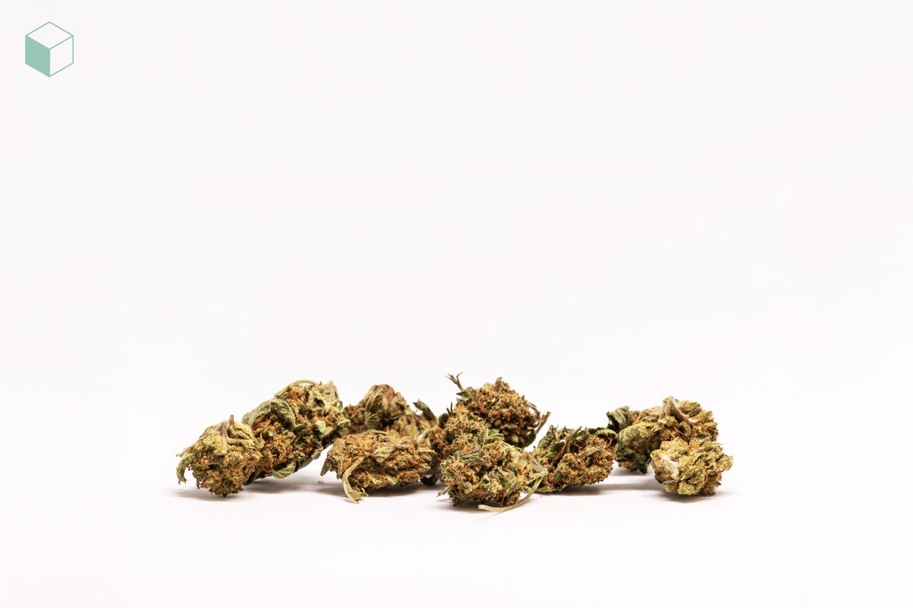 minigun-flor-cbd