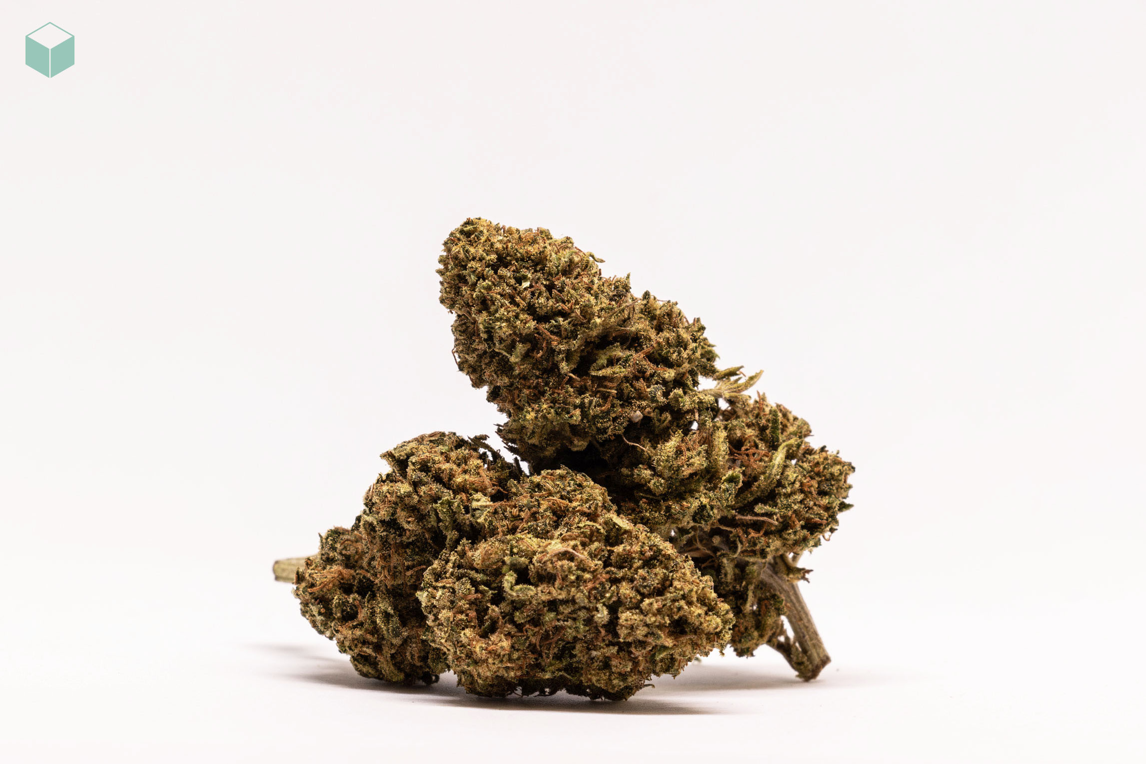 silverback-flor-cbd
