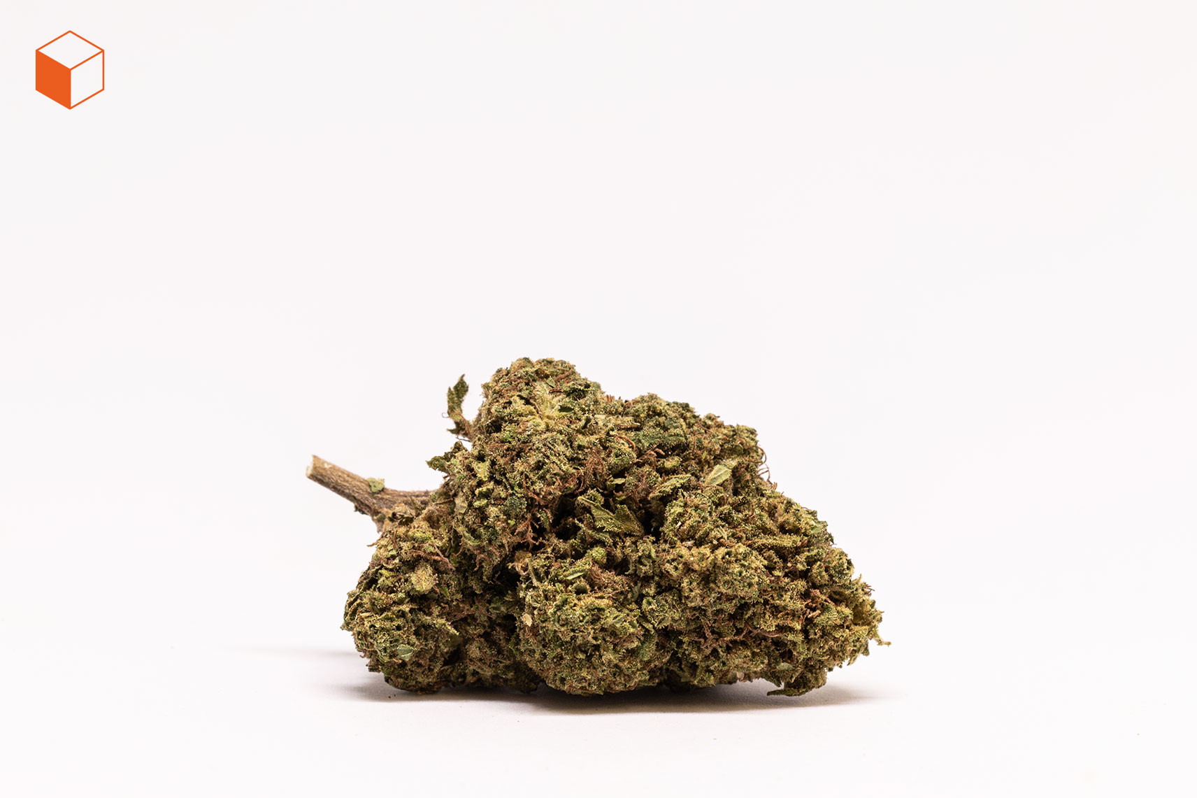 utopia-flor-cbd