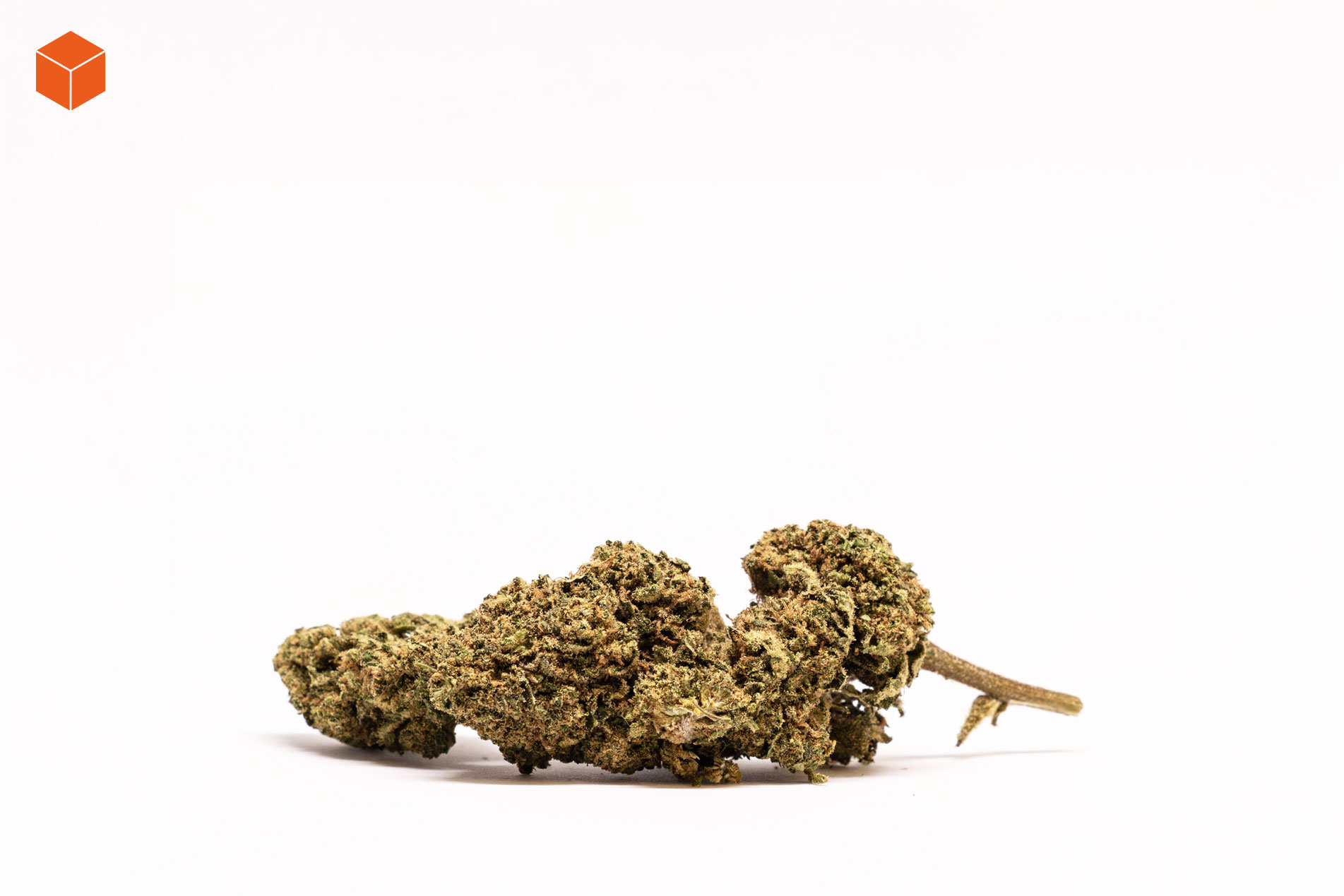 vendetta-flor-cbd
